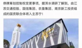 江苏苏宁最新爆料,揭秘球队备战新赛季的神秘计划